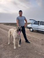 Aksaray'da Köpek Tartışması Kanlı Bitti: Komşusunu Vurdu