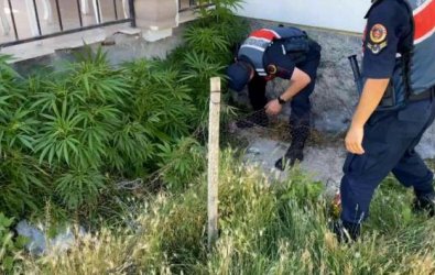 Aksaray'da 2 köyde uyuşturucu operasyonu: 1'i kadın 2 gözaltı