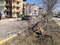 Otomobil refüjdeki ağacı söküp karşı şeritteki çöp konteynerine çarptı